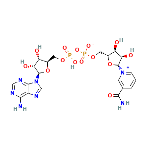 NAD+ 2D molecular structure for compound 5892
